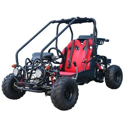 Taotao GK110 Kids Gas Go Kart Dune Buggy