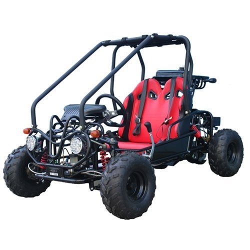 Taotao GK110 Kids Gas Go Kart Dune Buggy