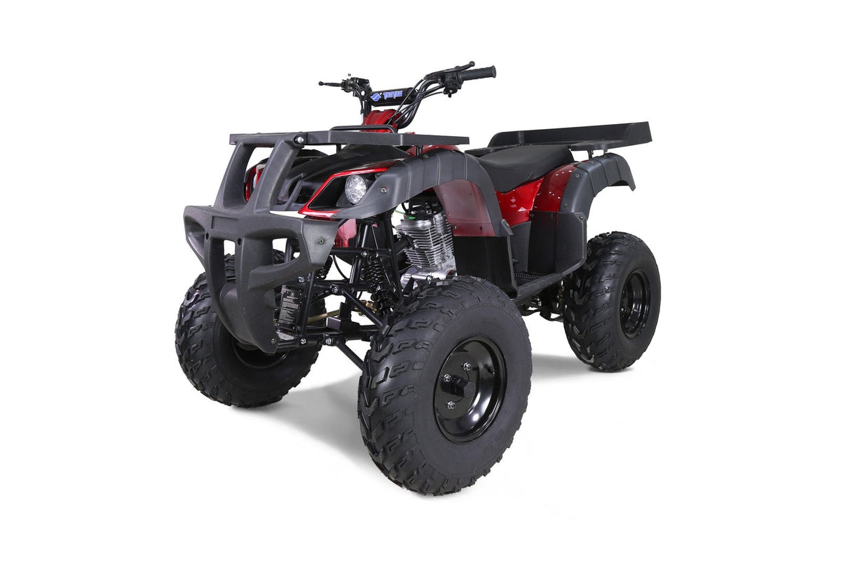 Taotao 250 Rhino Adult Utility ATV